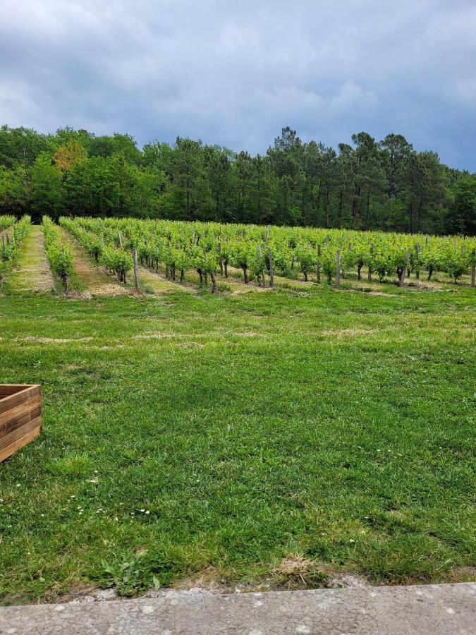 A L'Ombre De La Treille -Proche Saint-Emilion Bed & Breakfast エクステリア 写真