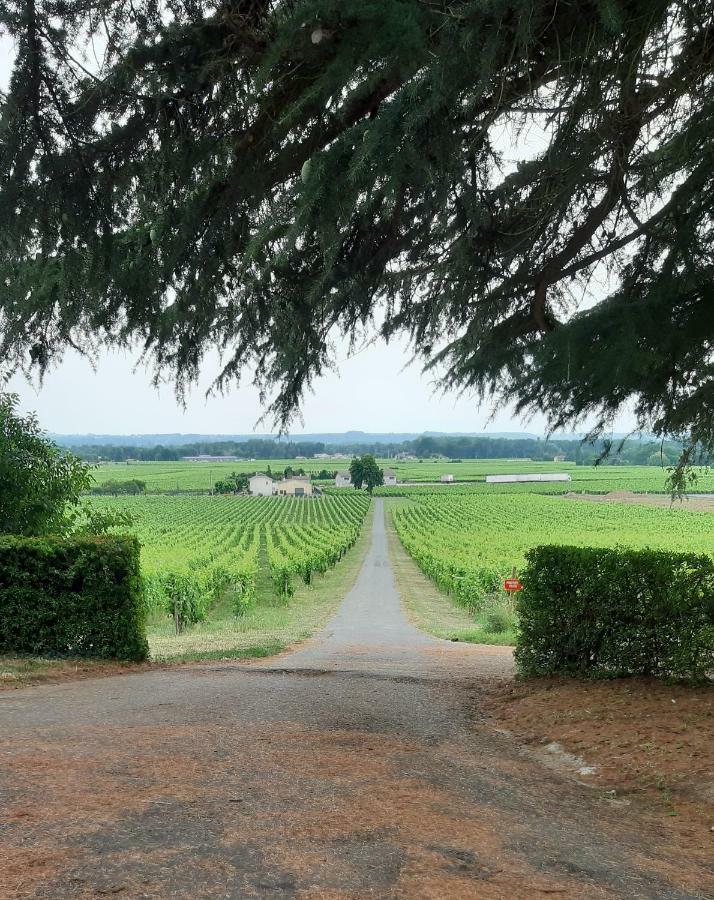 A L'Ombre De La Treille -Proche Saint-Emilion Bed & Breakfast エクステリア 写真